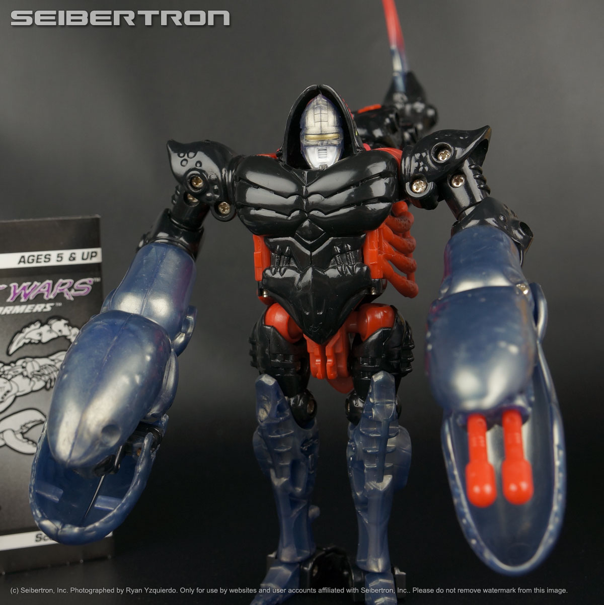 Transformers News: Seibertron.com Store Summer Sale: All Items Buy 4 Get 1 Free Plus 40% Off MOTU, TMNT and Comics