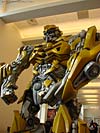 BotCon 2009: Miscellaneous Pics - Transformers Event: DSC04554