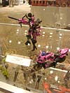 BotCon 2007: Hasbro's Display Area - Transformers Event: DSC06552