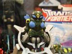 Hall of Fame Display Area