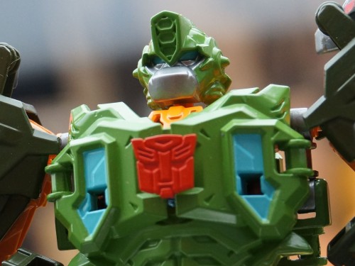 Hasbro Display: Construct-Bots (New Reveals)