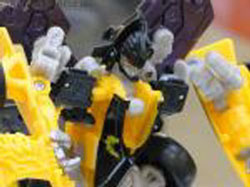 Human Alliance Display Area