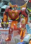BotCon 2009: Transformers Animated figures - Transformers Event: DSC05686