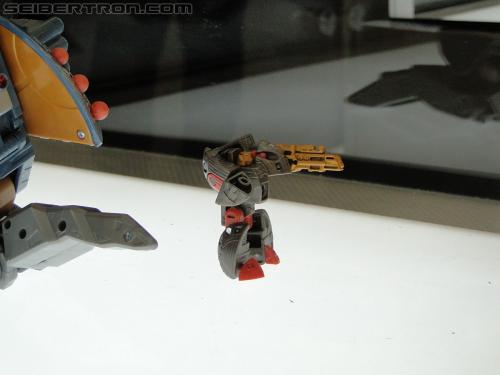 Botcon 2011: Transformers Retail Exclusives Display Area - Transformers Event: DSC10087