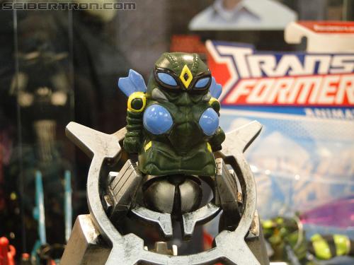 Botcon 2011: Hall of Fame Display Area - Transformers Event: DSC00545