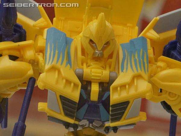 BotCon 2013: Hasbro Display: Beast Hunters and Beast Hunters Predacons Rising - Transformers Event: DSC06526b