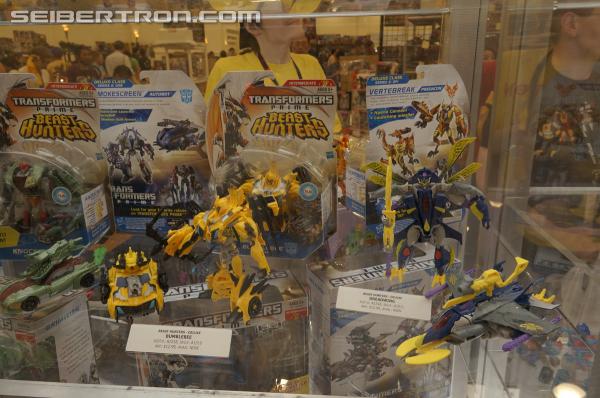 BotCon 2013: Hasbro Display: Beast Hunters and Beast Hunters Predacons Rising - Transformers Event: DSC16451