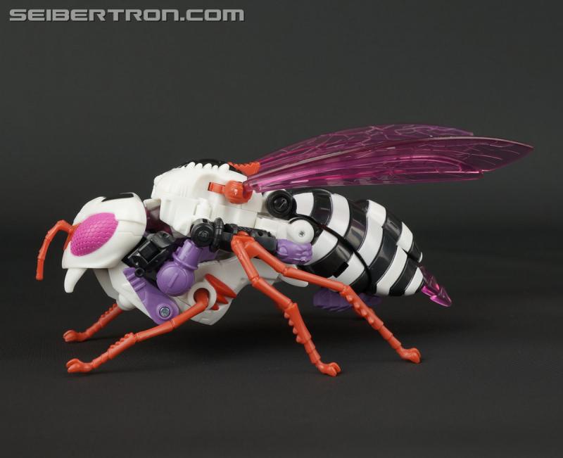 BotCon 2015: Souvenir Exclusives Mini-Gallery - Transformers Event: DSC10098