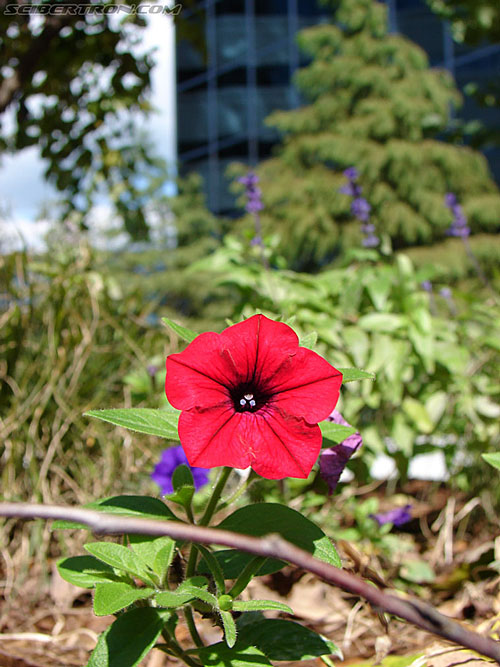 BotCon 2006: Lexington - Transformers Event: