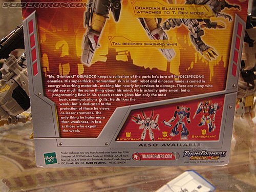BotCon 2006: Hasbro's Toy Display Cases - Transformers Event:
