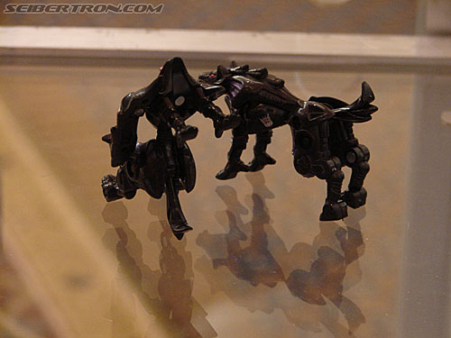 BotCon 2006: Hasbro's Toy Display Cases - Transformers Event: