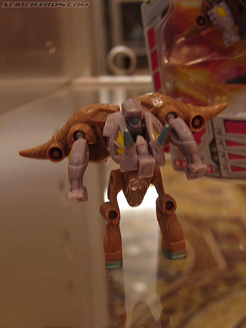 BotCon 2006: Hasbro's Toy Display Cases - Transformers Event:
