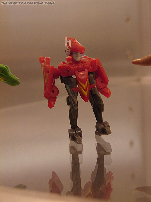 BotCon 2006: Hasbro's Toy Display Cases - Transformers Event: