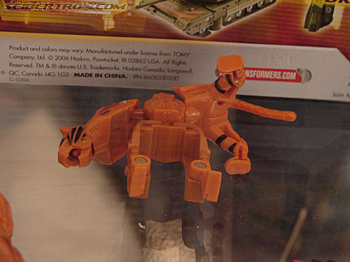 BotCon 2006: Hasbro's Toy Display Cases - Transformers Event: