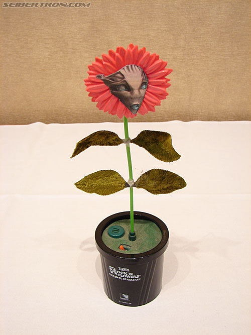 BotCon 2006: Fan Creative Stuff - Transformers Event: