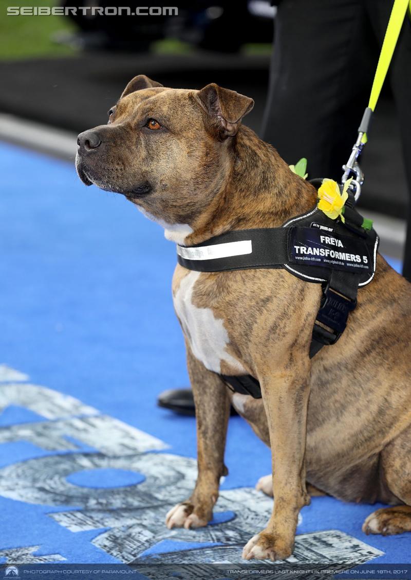 Transformers The Last Knight Global Premiere: Transformers The Last Knight UK Premiere in London - Transformers Event: 700065682RM092 Transformers