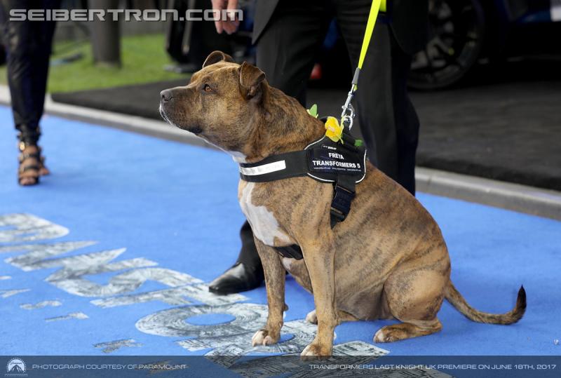 Transformers The Last Knight Global Premiere: Transformers The Last Knight UK Premiere in London - Transformers Event: 700065682RM093 Transformers