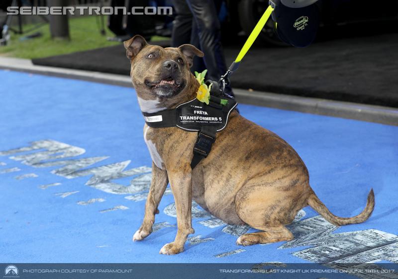 Transformers The Last Knight Global Premiere: Transformers The Last Knight UK Premiere in London - Transformers Event: 700065682RM094 Transformers
