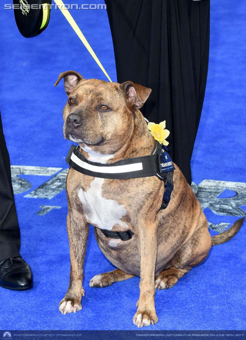 Transformers The Last Knight Global Premiere: Transformers The Last Knight UK Premiere in London - Transformers Event: 700065682RM149 Transformers