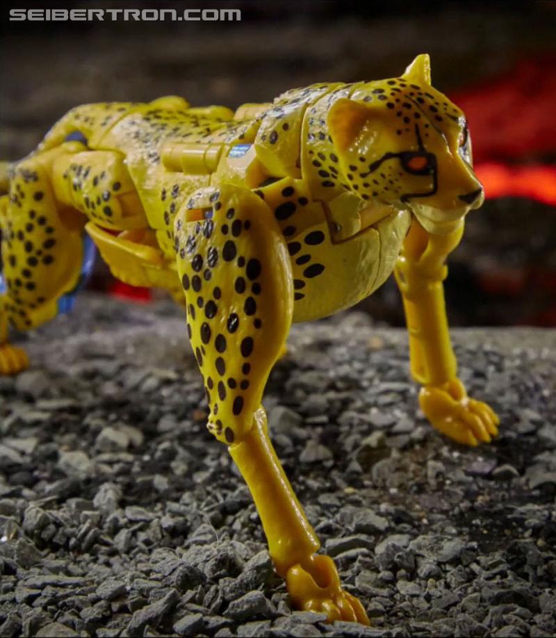 Hasbro PulseCon 2020: Transformers War for Cybertron Kingdom Toy Reveals and more - Transformers Event: SNAG 02118a