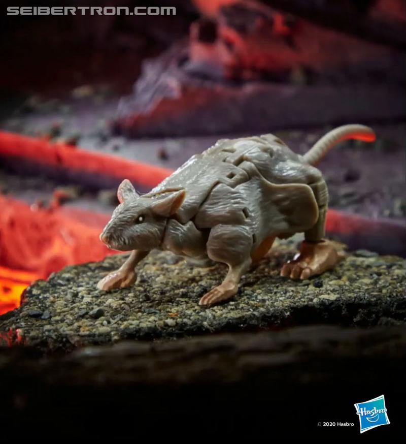 Hasbro PulseCon 2020: Transformers War for Cybertron Kingdom Toy Reveals and more - Transformers Event: SNAG 02204b