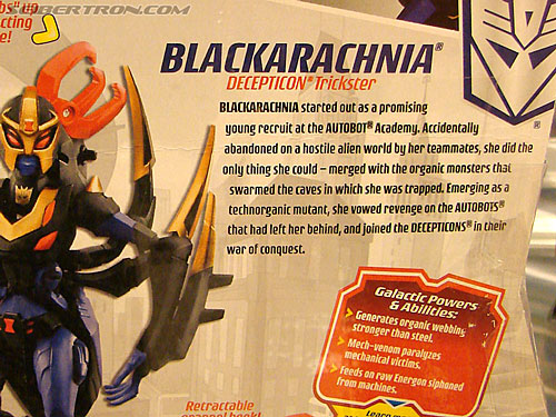 BotCon 2008: Transformers Animated - Transformers Event: Animated033