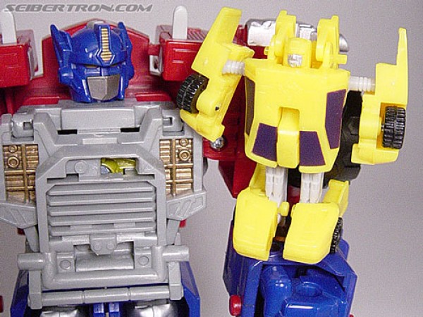 Top 5 Best Transformers Minicon Partners